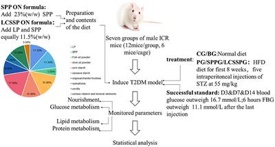 The Effect of Oral Nutritional Formula With Three Different Proteins on Type 2 Diabetes Mellitus in vivo